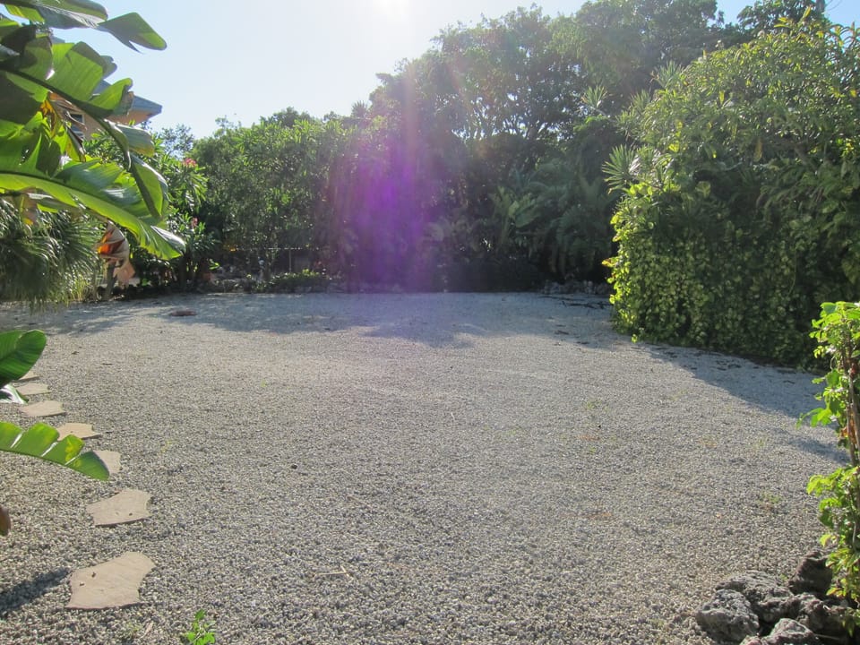 BACK YARD