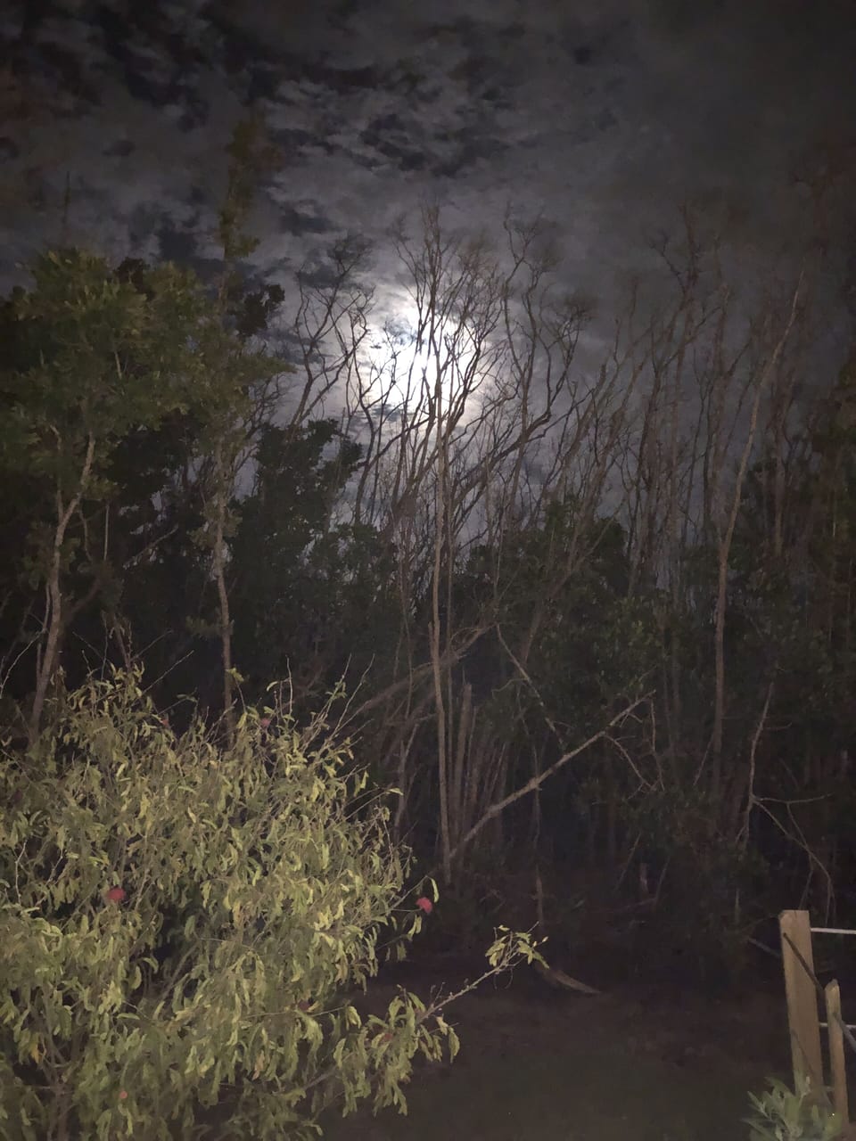 Super moon, enjoying the night outside this beautiful evening.