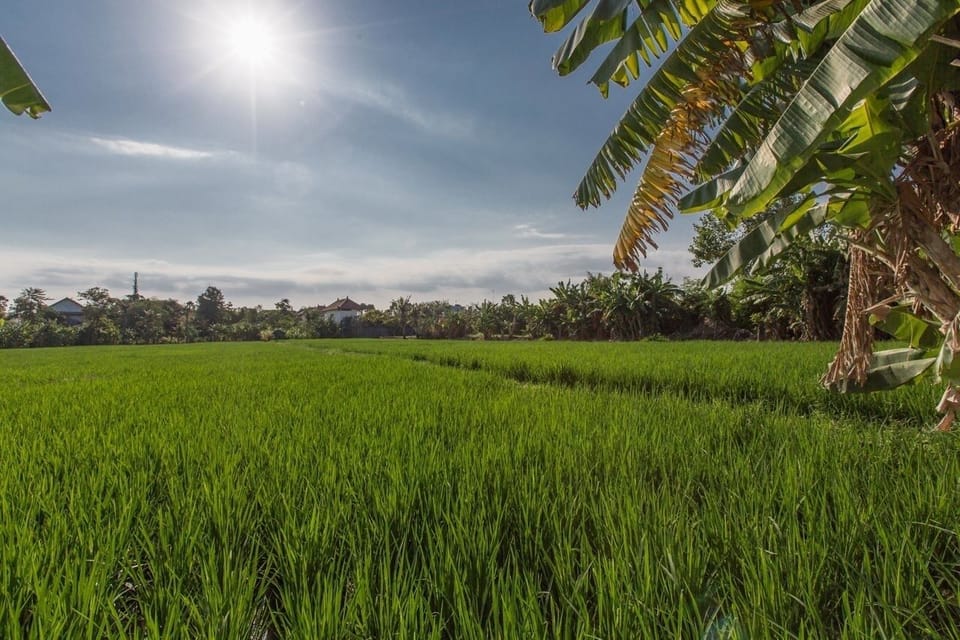 2 Bedrooms Villa - Drupadi Area Seminyak