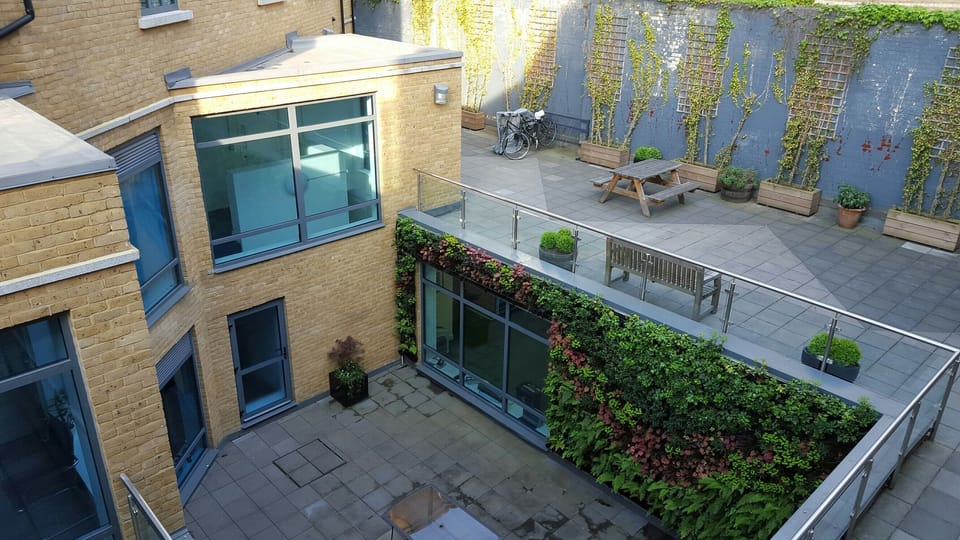 Communal Courtyard 