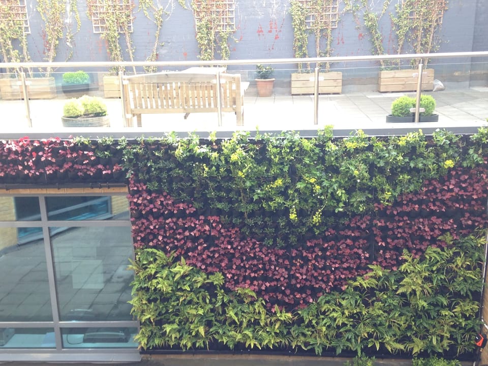 Communal Courtyard - view from window