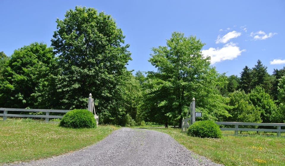 Driveway