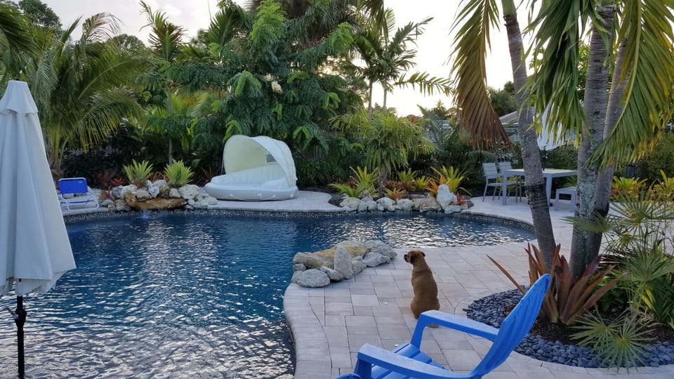Pool floats and toys are not provide by host. This float is used to shoe size 