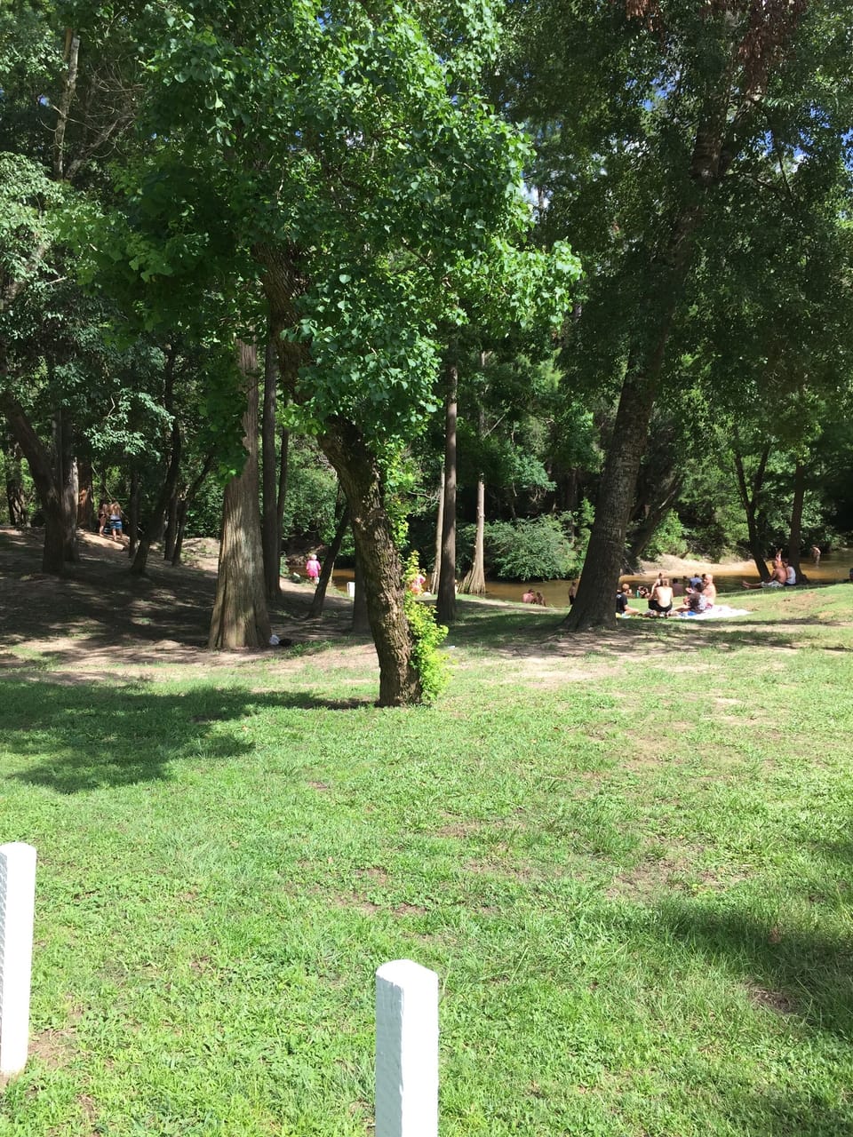 Swimming at Bohemian Park 