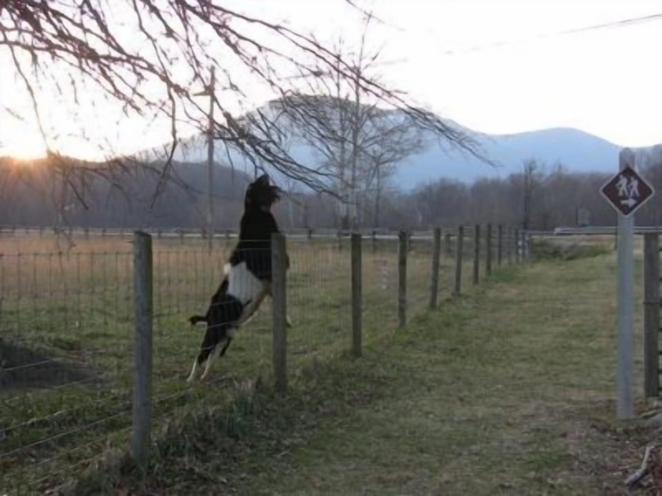 Rockfish Valley Trail adjacent to farmhouse along Rockfish River