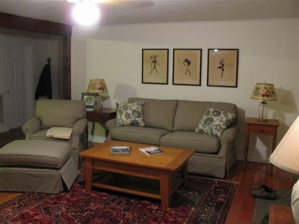 Living area with propane stove and media center