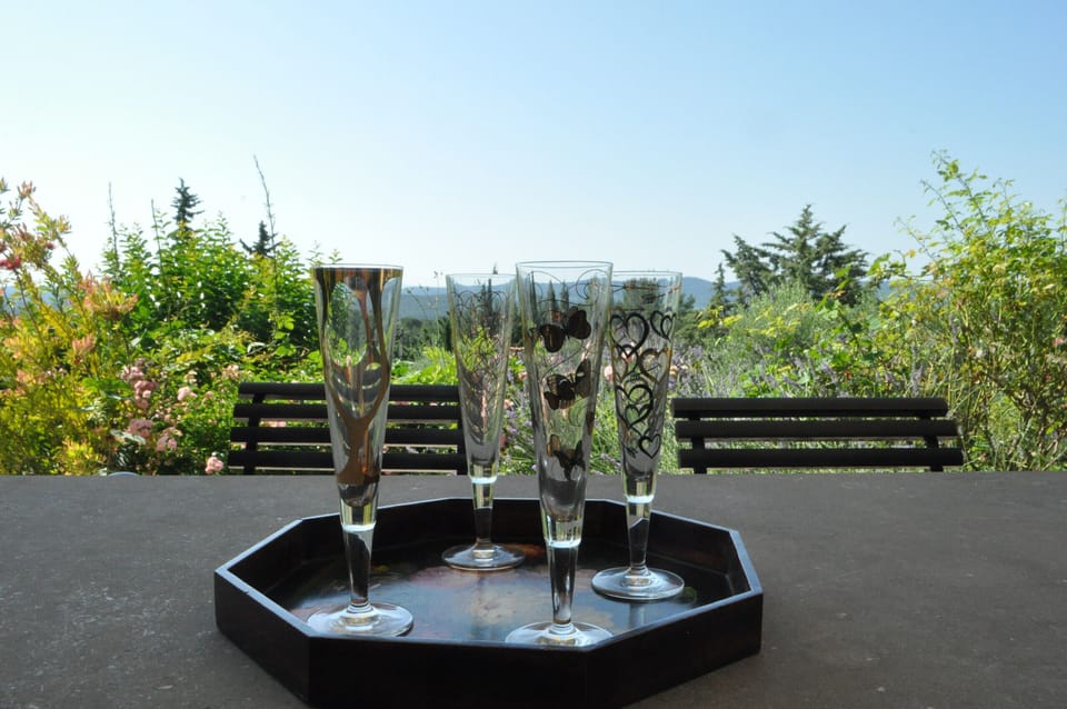 Enjoy a glass of wine watching the Provencal Nature