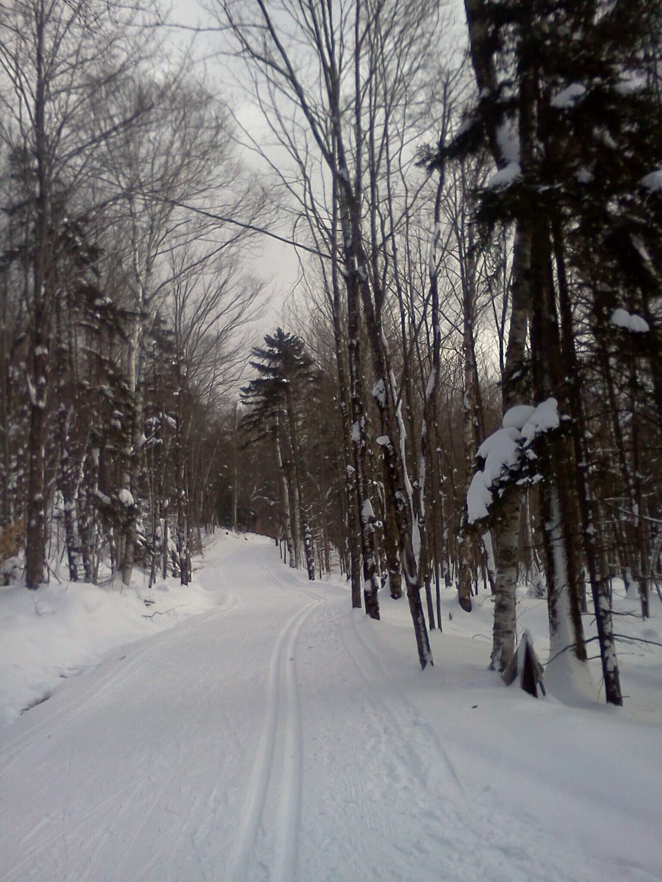 Snow and ski sports