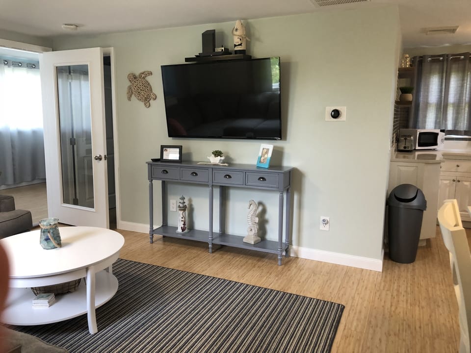 65" flatscreen TV