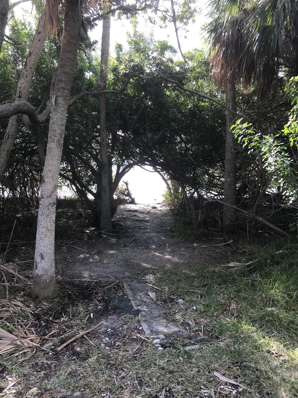 Directly across the street from a kayak/ canoe launch