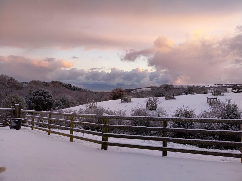 Winter wonderland