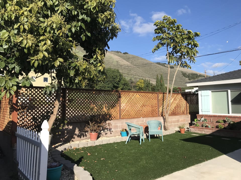Front yard 