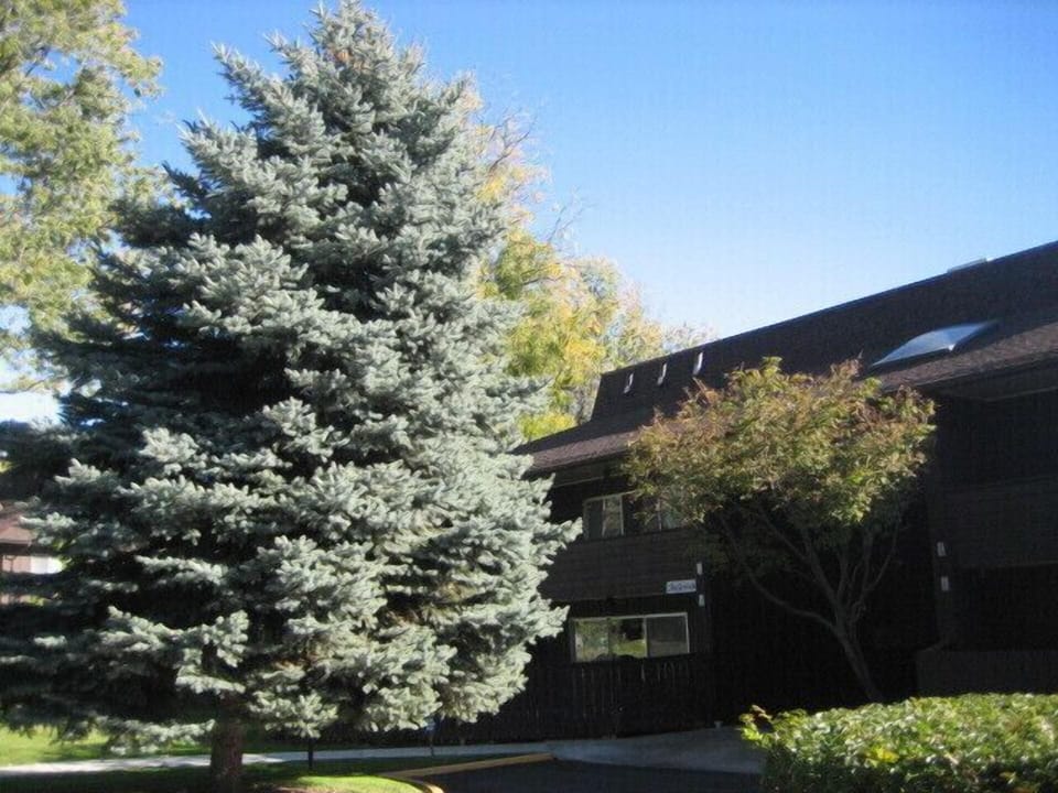 Park Like Entry to Dancer Condo Unit