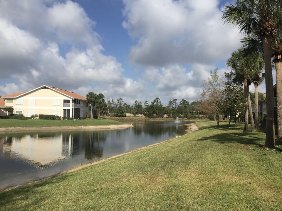 lake view