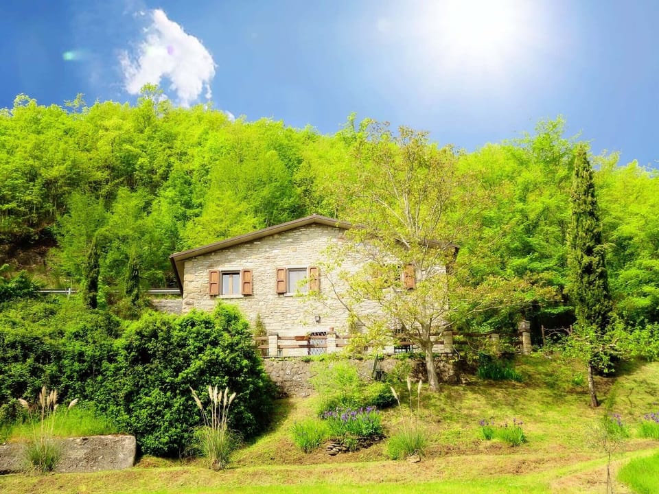 The house from the garden.