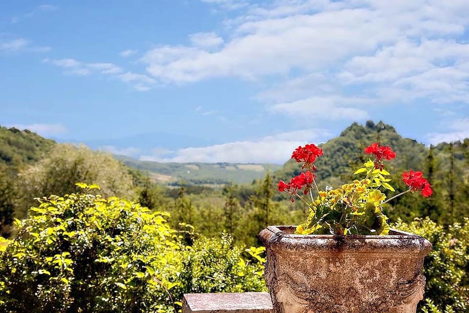 View from the terrace.