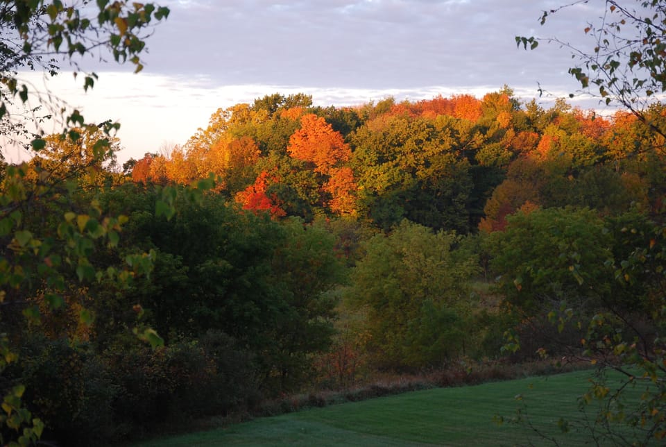 Autumn's splendor fills the view from the kitchen.