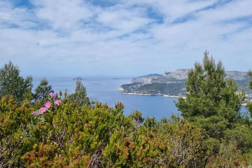 Region [summer] (>5 km)