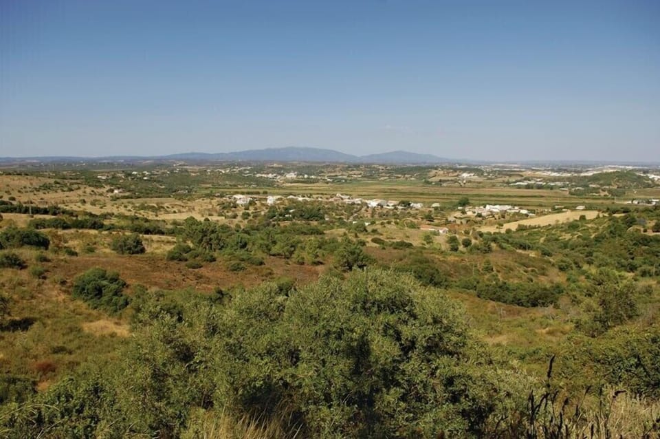 Country view