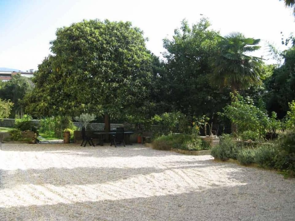 Garden, Park