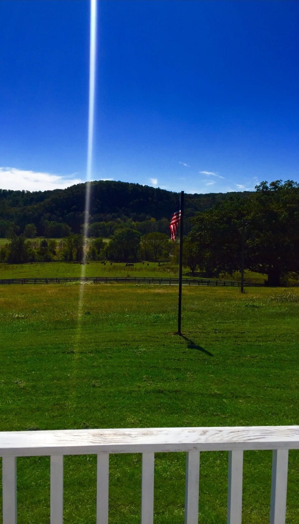View from property