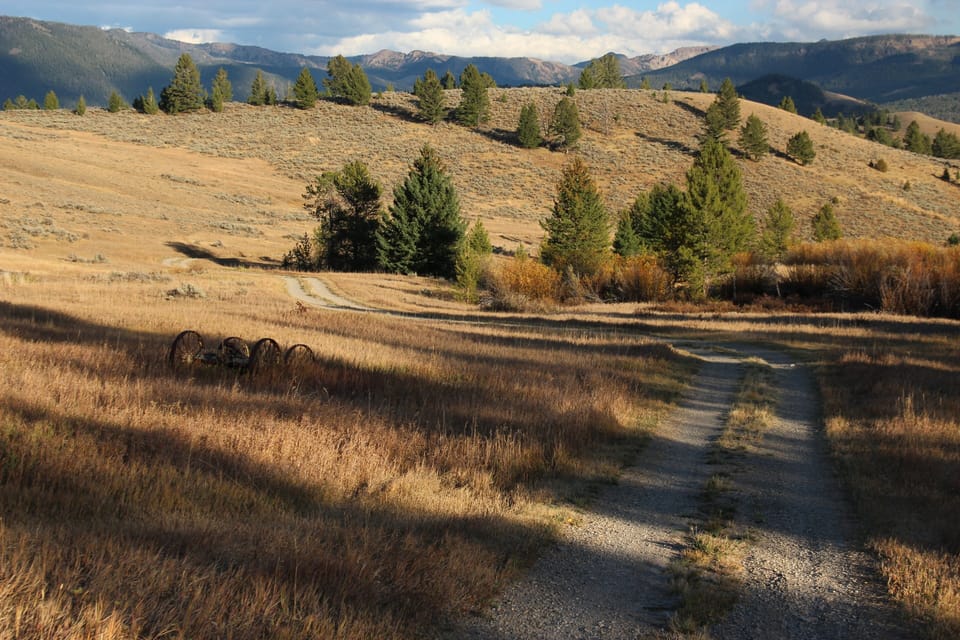 Driveway to cabin