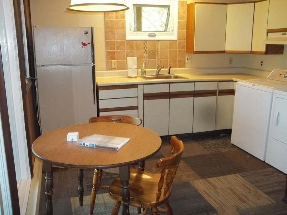 Downstairs summer kitchen with full sized washer and dryer.