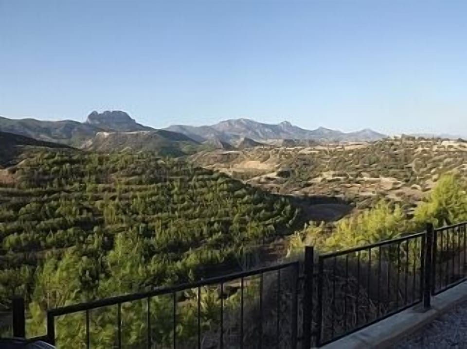 looking across the valley at five finger mountain