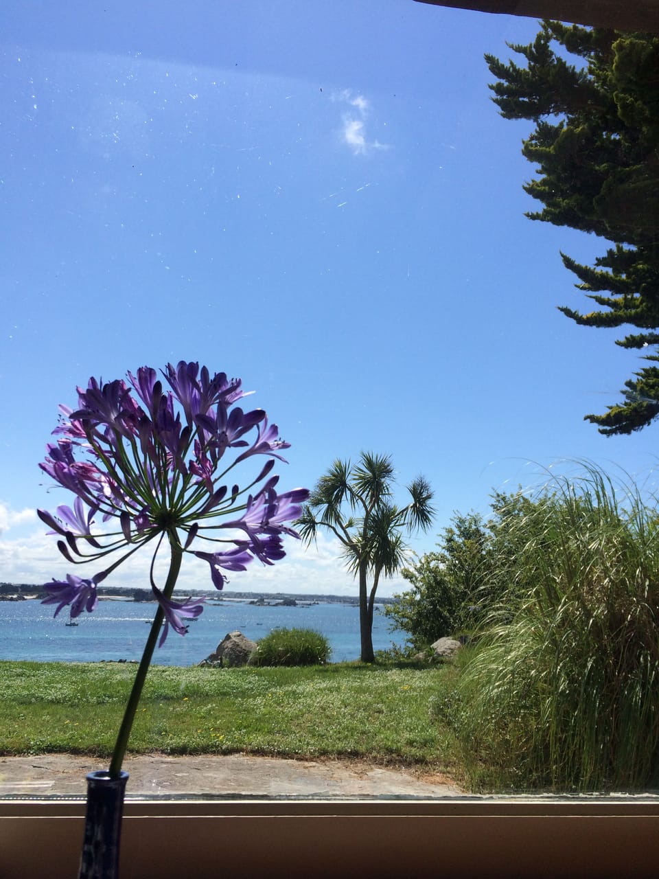 View from property