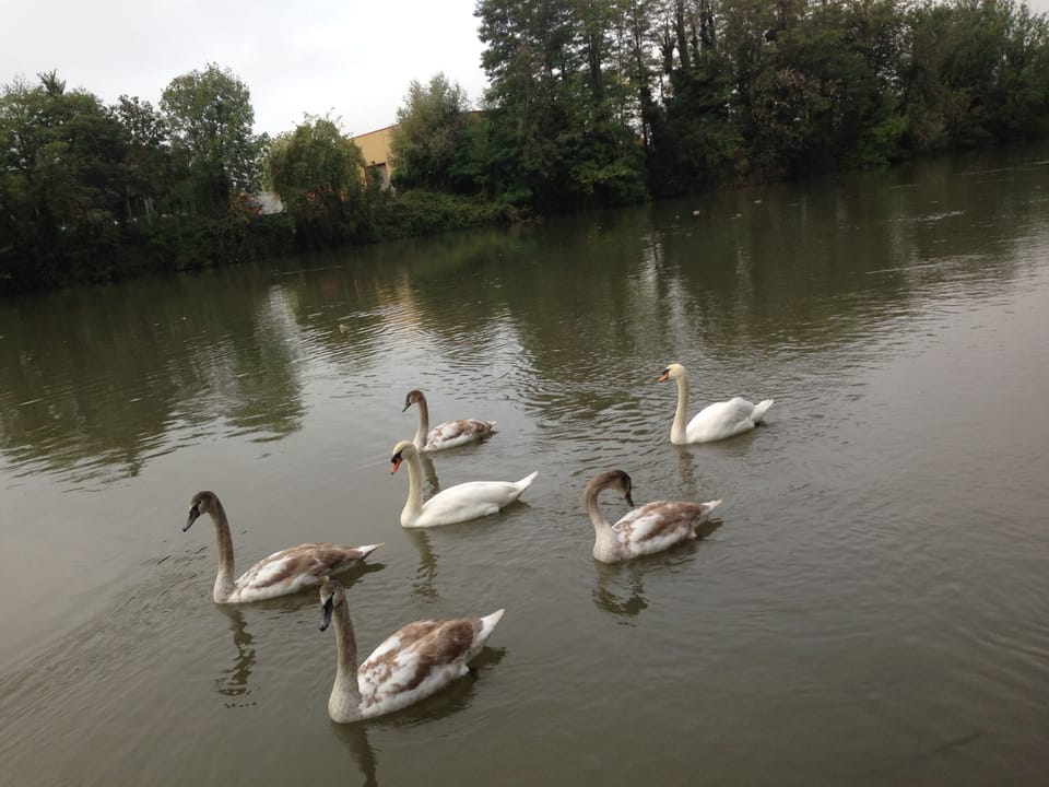 Lake