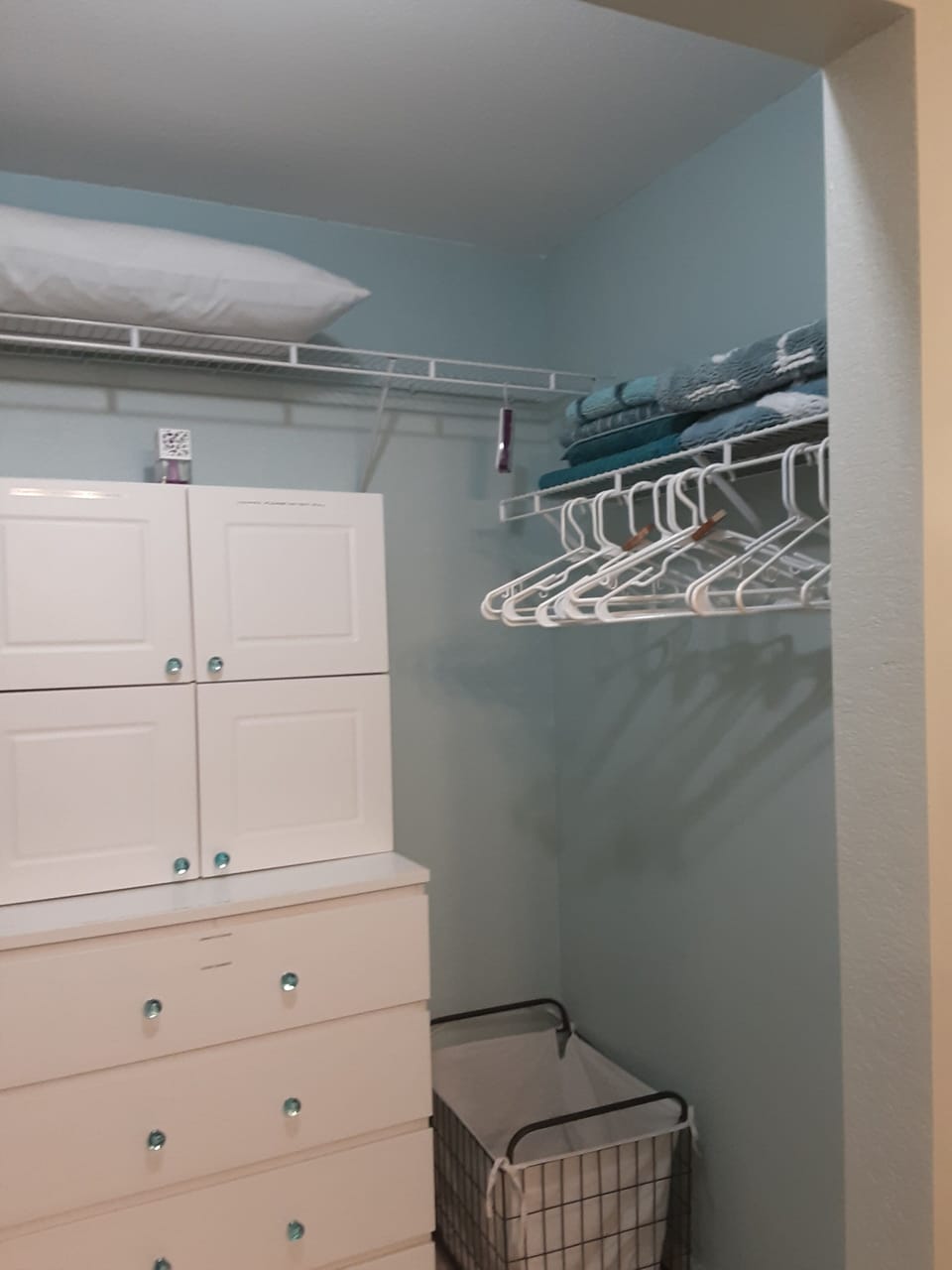 Principle ensuite walk in closet