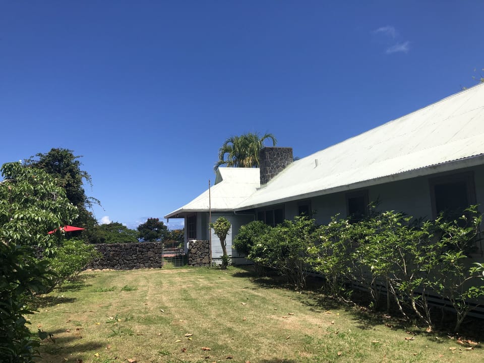 Back yard 