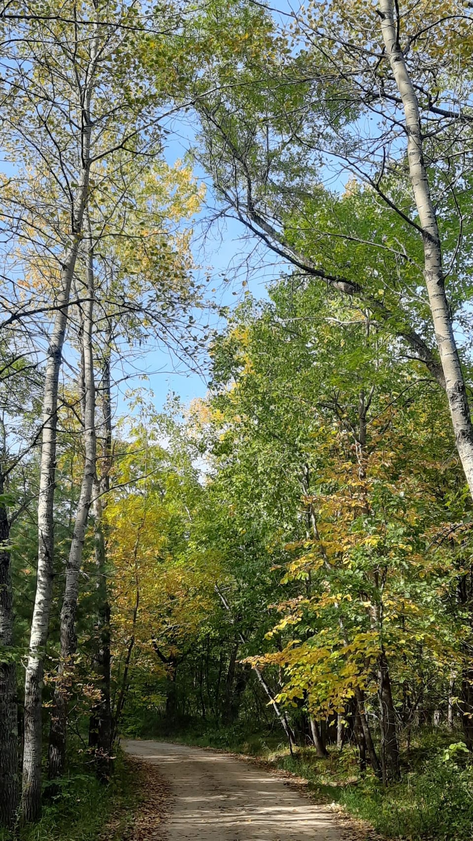 Miscellaneous
