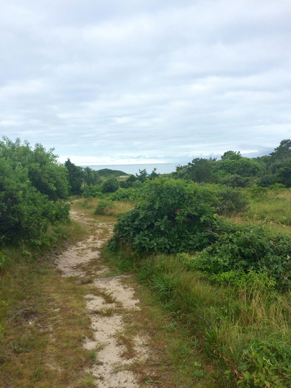 Hardings Beach is just a few minutes walk down the Bluff's private path.