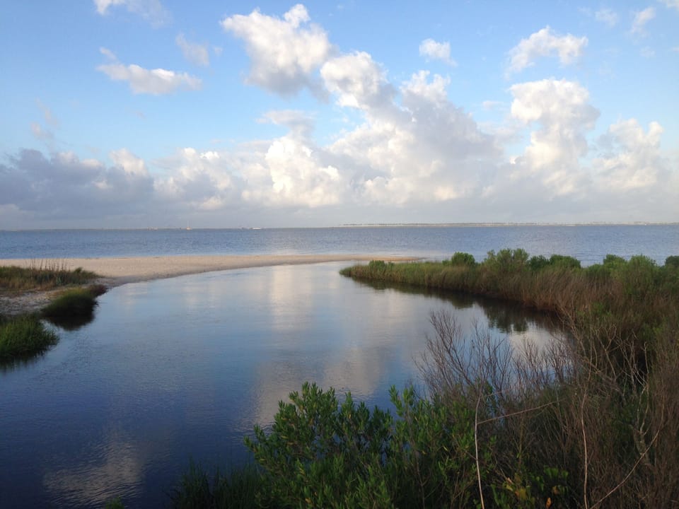 Morning walk, East Beach