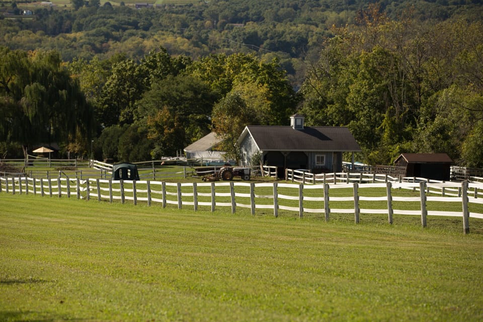 Private Horse Stables next door....