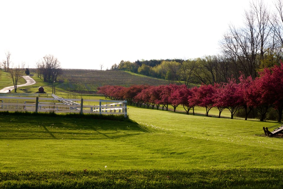 Private Estate across the street from Keuka Springs Vineyards 