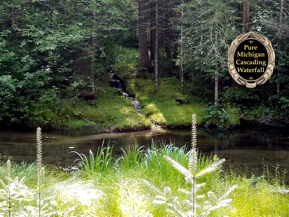 Cascading waterfall view and sounds from the sunroom