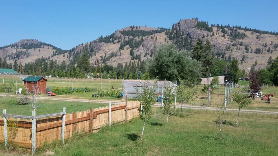 southwest view from porch