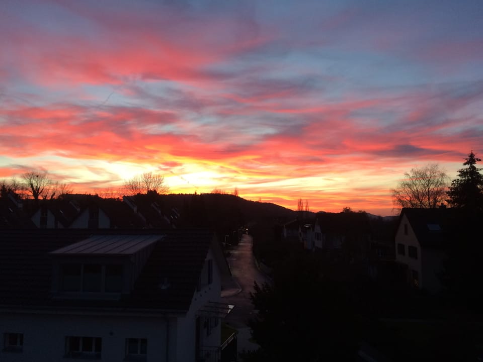 Evening view