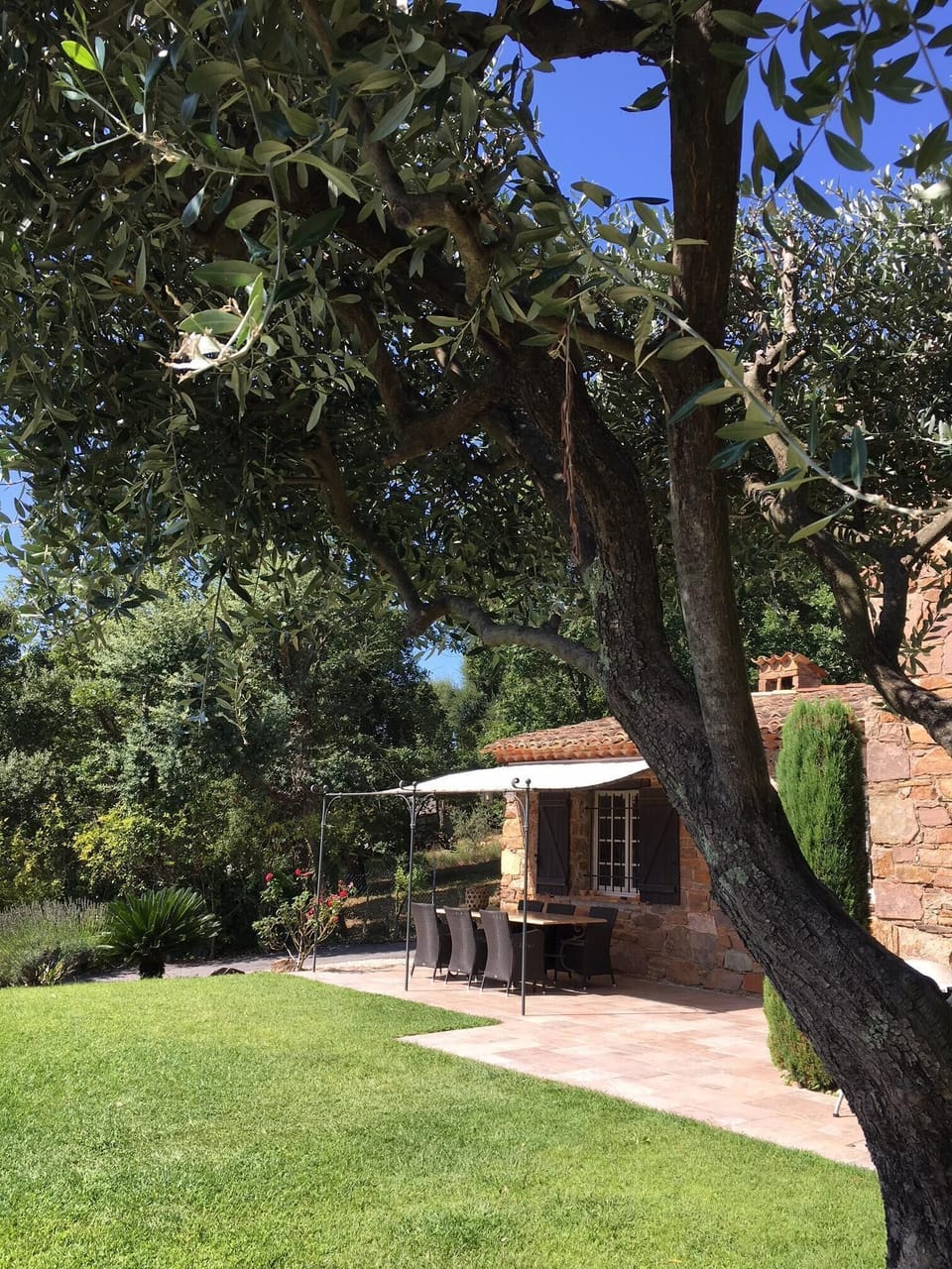 Terrace with garden