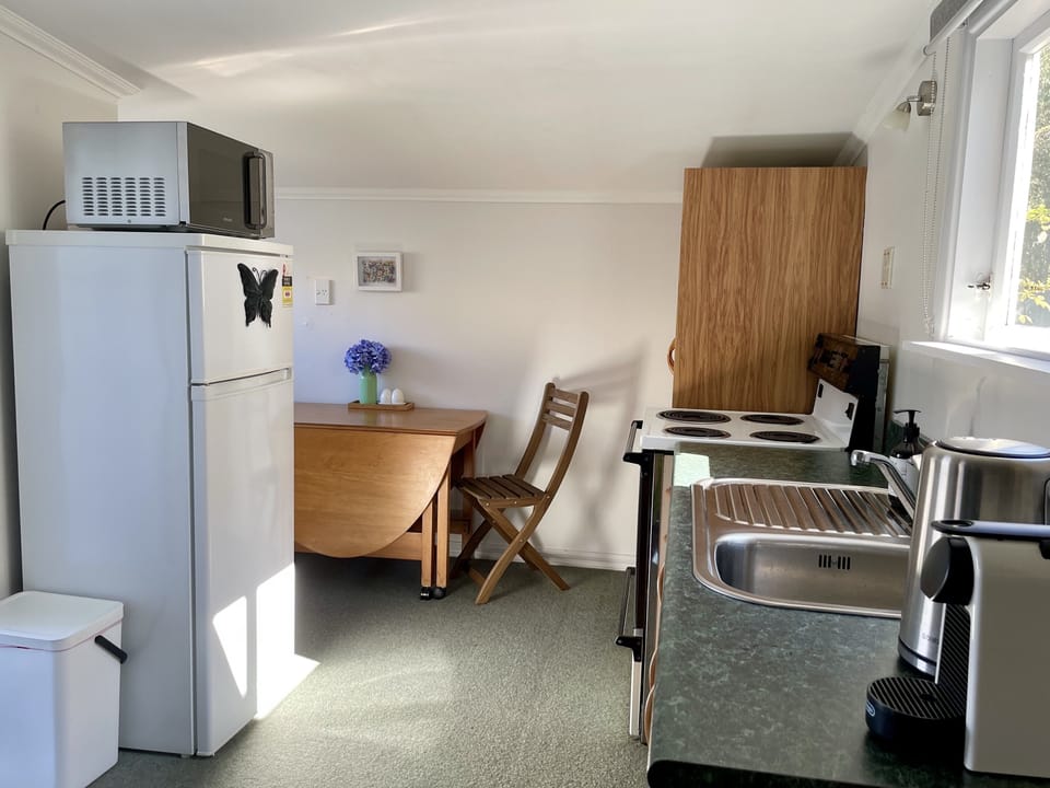 Small kitchen with all the basics