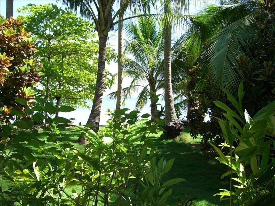 Beach view from back porch