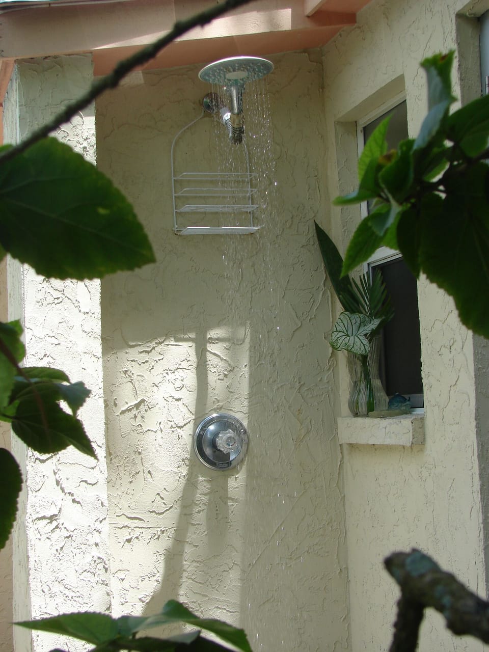 Start your day under the private outdoor shower, surrounded by lush vegetation
