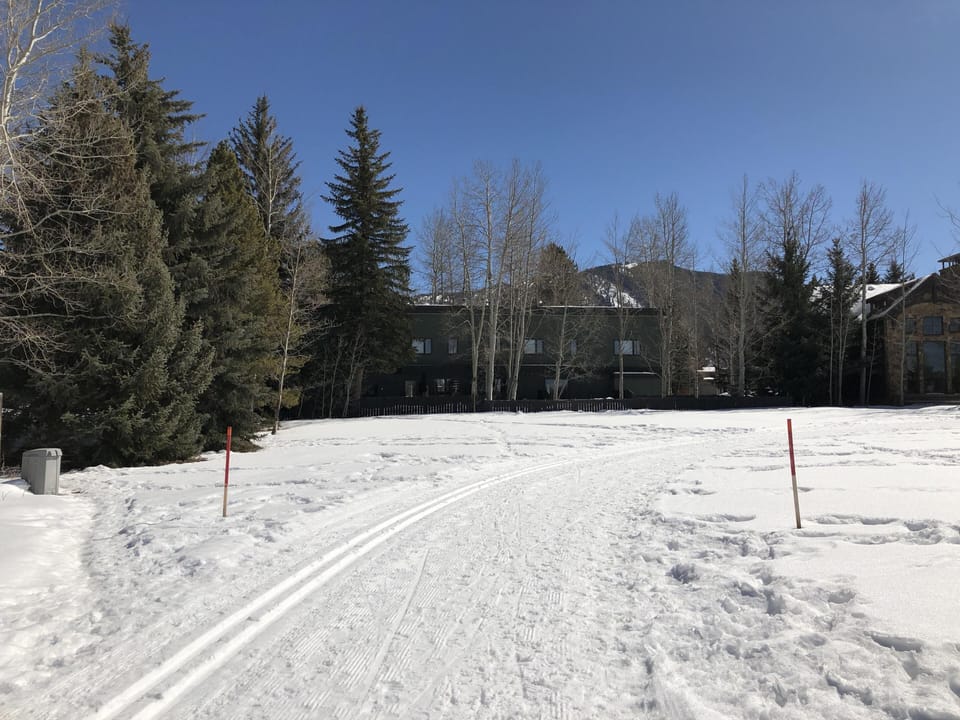 Back of house from cross-country trail on golf course