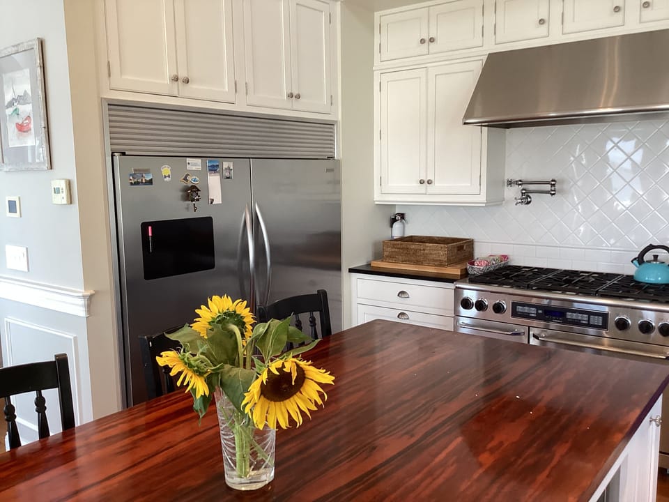 Gourmet kitchen