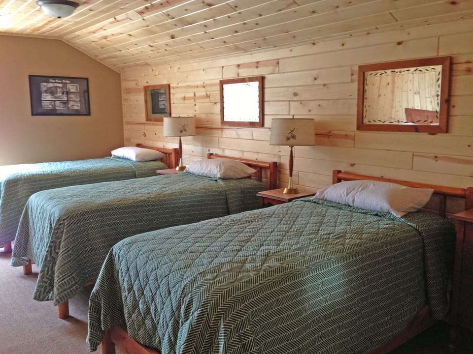 Cousin's Bedroom - 3 twin bed plus...  