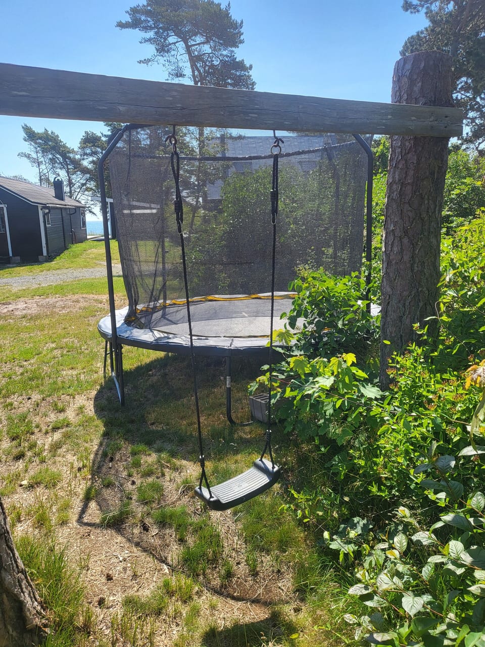 Trampoline
