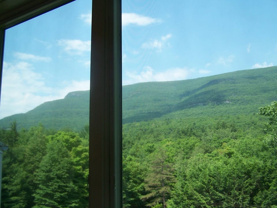 view from screened in porch in pool house