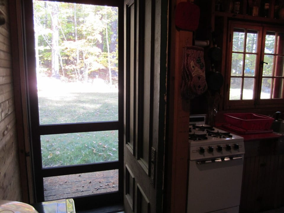 And a view of the woods.